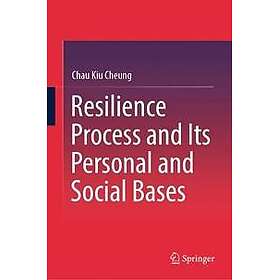 Resilience Process and Its Personal and Social Bases