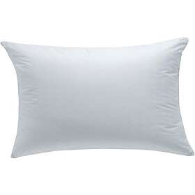 Drouault Palladium Oreiller 50x75cm PALLADIUM-FER-5075
