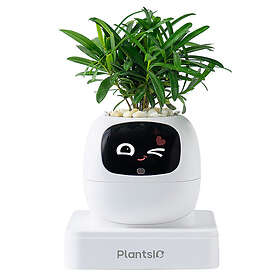 Plantsio Ivy Smart Planter Square