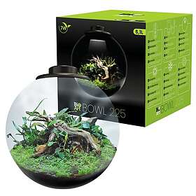 BioArt Bowl Glass Planter