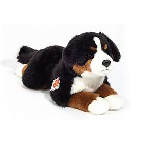Teddy Hermann Lying Bernese Mountain Dog