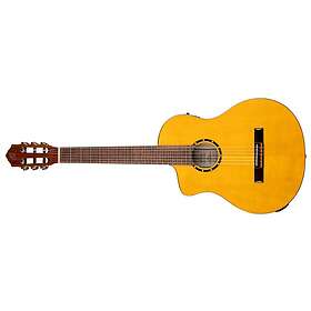 Ortega RCE170F-L Family Series Pro