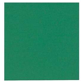 Abena Gastro Napkin 1-ply Green 33x33cm 250pcs