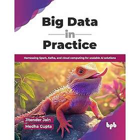 Big Data in Practice