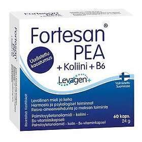 Biosan Fortesan PEA + Koliini 60 kapselia