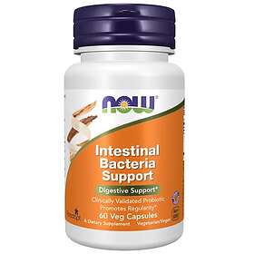 Now Foods Intestinal Bacteria Support 60 Capsules