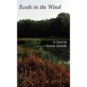 Reeds in the wind