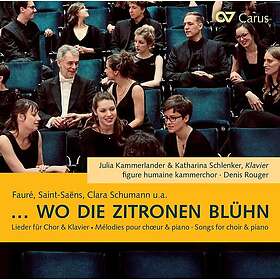 Julia Kammerlander, Katharina Schlenker, Figure Humaine Kammerchor Wo Die Zitron