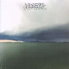 Modest Mouse Fruit That Ate Itself CD