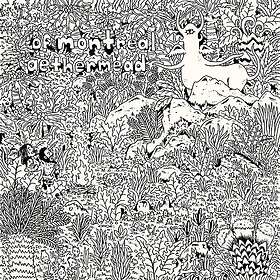 Of Montreal Aethermead CD