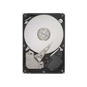 IBM 54Y8372 320GB