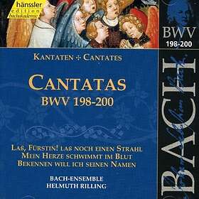 Erhard, Mechthild Georg, Philippe Huttenlocher, Radboud Oomens, Stefan Trauer  S