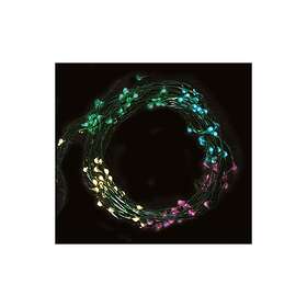 Fiesta Led Light String