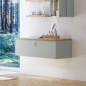 Dansani Inzo Classic Badskap 60cm NCS Farge (T11-1099)