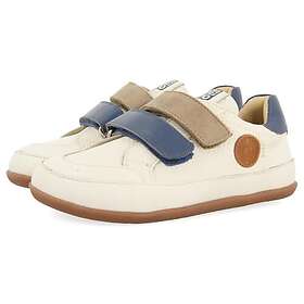 Gioseppo Buels Low (Jr)