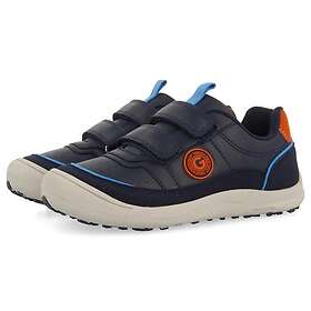Gioseppo Fertod Blue (Jr)