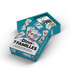 7 Dino Familles Cartes Flash Éducatives