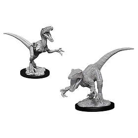 Deep Raptors