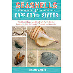Seashells of Cape Cod and the Islands