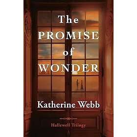 The Promise of Wonder
