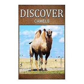 Camels Discover: Early Reader's Wildlife Photography Book