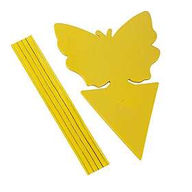 Windhager Piège à insectes 10-pack