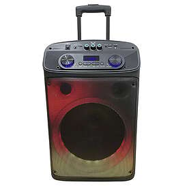New Majestic Flame T55