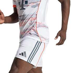 Adidas Shorts (Herr)