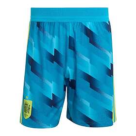 Adidas Authentic Goalkeeper Shorts (Men's)
