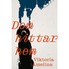 Dom hittar hem