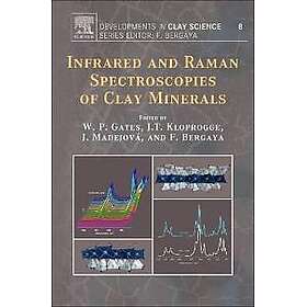 Infrared and Raman Spectroscopies of Clay Minerals