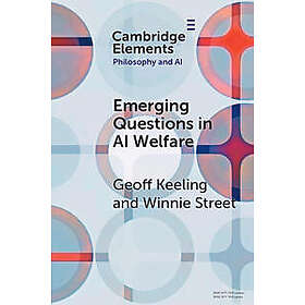 Emerging Questions in AI Welfare