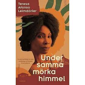 Under samma mörka himmel : Från Angola till Östermalm – en sann berättelse om en kvinnas kamp mot