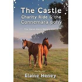 The Castle Charity Ride and the Connemara Pony Dyslexia Friendly