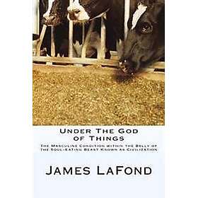 Under the God of Things: The Masculine Condition Within the Belly of the Soul-Eating Beast Known as