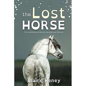 The Lost Horse Dyslexia Friendly