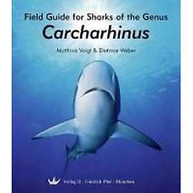 Field Guide for Sharks of the Genus Carcharhinus