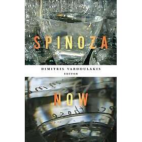 Spinoza Now