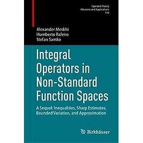 Integral Operators in Non-Standard Function Spaces