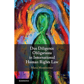 Due Diligence Obligations in International Human Rights Law