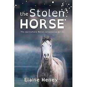 The Stolen Horse Dyslexia Friendly