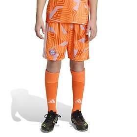 Adidas Goalkeeper Home Junior Shorts (Jr)