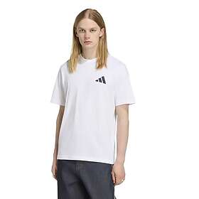 Adidas Fc Bayern Munich Seasonal Graphic Kortärmad T-shirt (Herr)