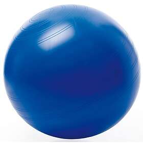 Togu Exercise Ball Gym Ball 55cm