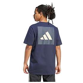 Adidas Real Madrid Seasonal Graphic Kortärmad T-shirt (Herr)