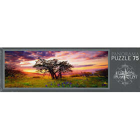 Heye Panorama Humboldt Oak Tree 75 Pieces