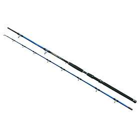 Wizard Cat Pro Power Catfish Spö 3.00m / 800-1000g
