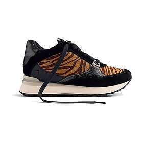 Gioseppo Baroda Trainers (Dam)