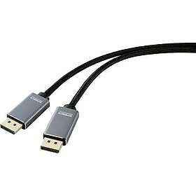 DisplayPort