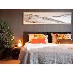 Molto Luce Pille Single LT
